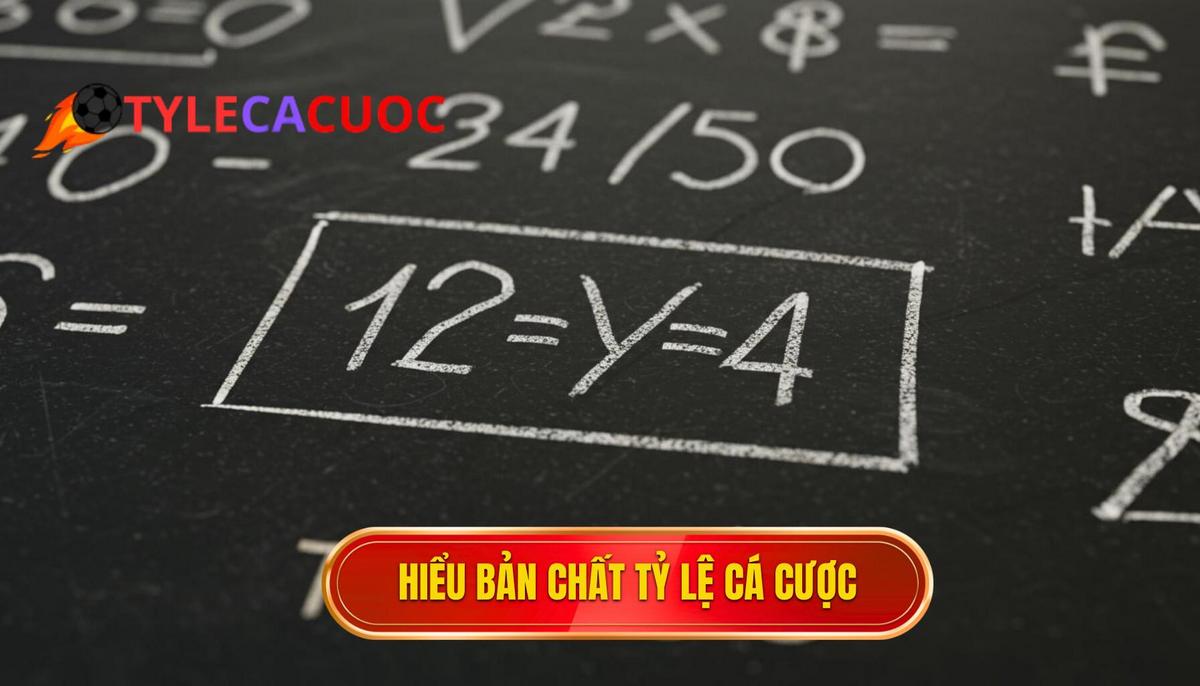 Phần 1_ Hiểu Rõ Bản Chất Của Tỷ Lệ Cá Cược (Odds)