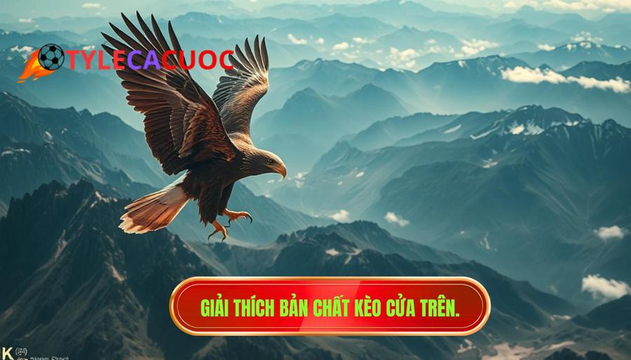 Giải thích bản chất kèo cửa trên