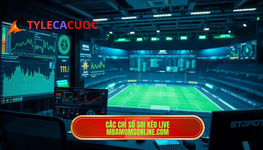 Các chỉ số soi kèo live mbamomsonline.com